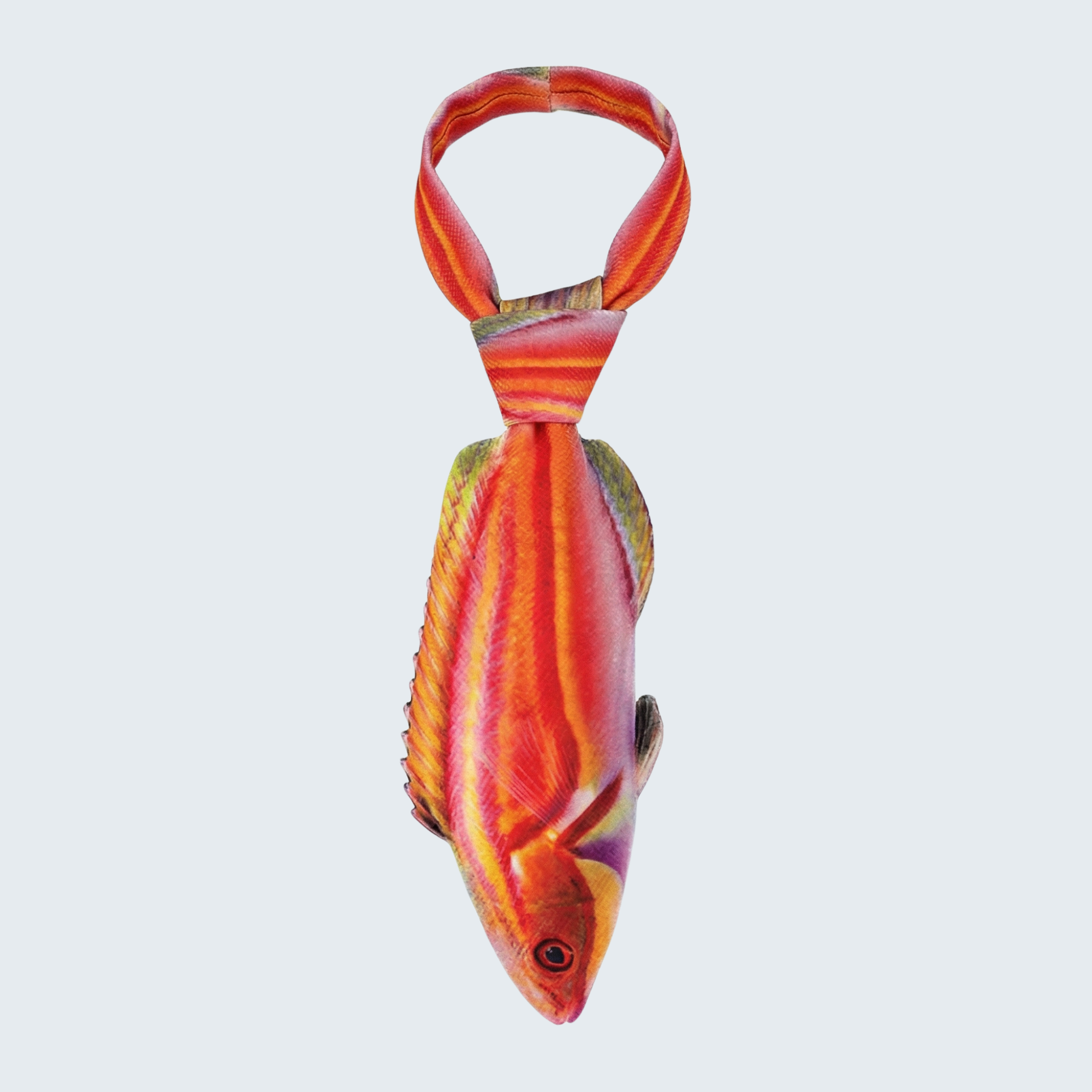 EdwardTrend© Laboute's Fairy Wrasse