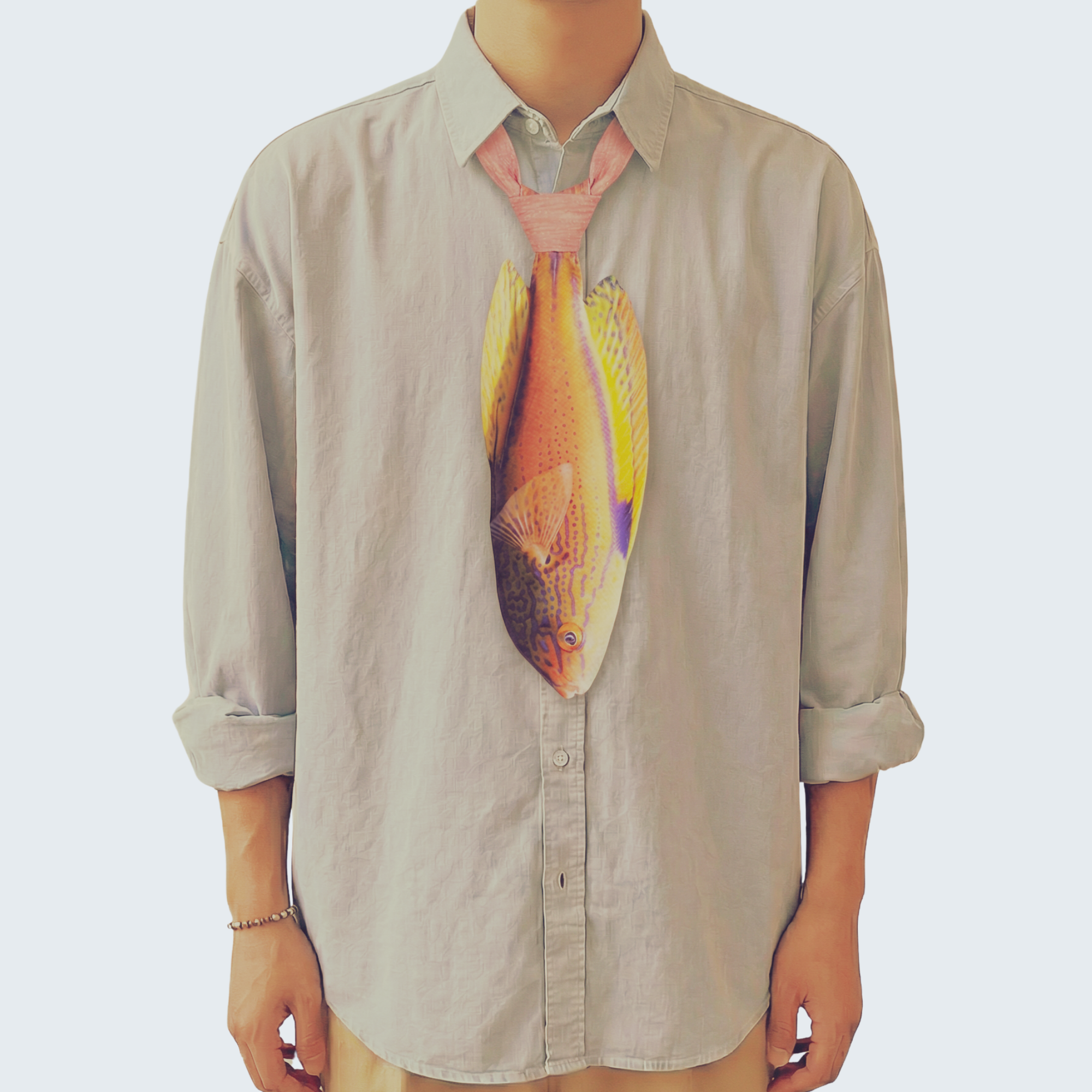 EdwardTrend© Lineatus Fairy Wrasse