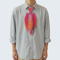 EdwardTrend© Red Sea Eightline Flasher Wrasse