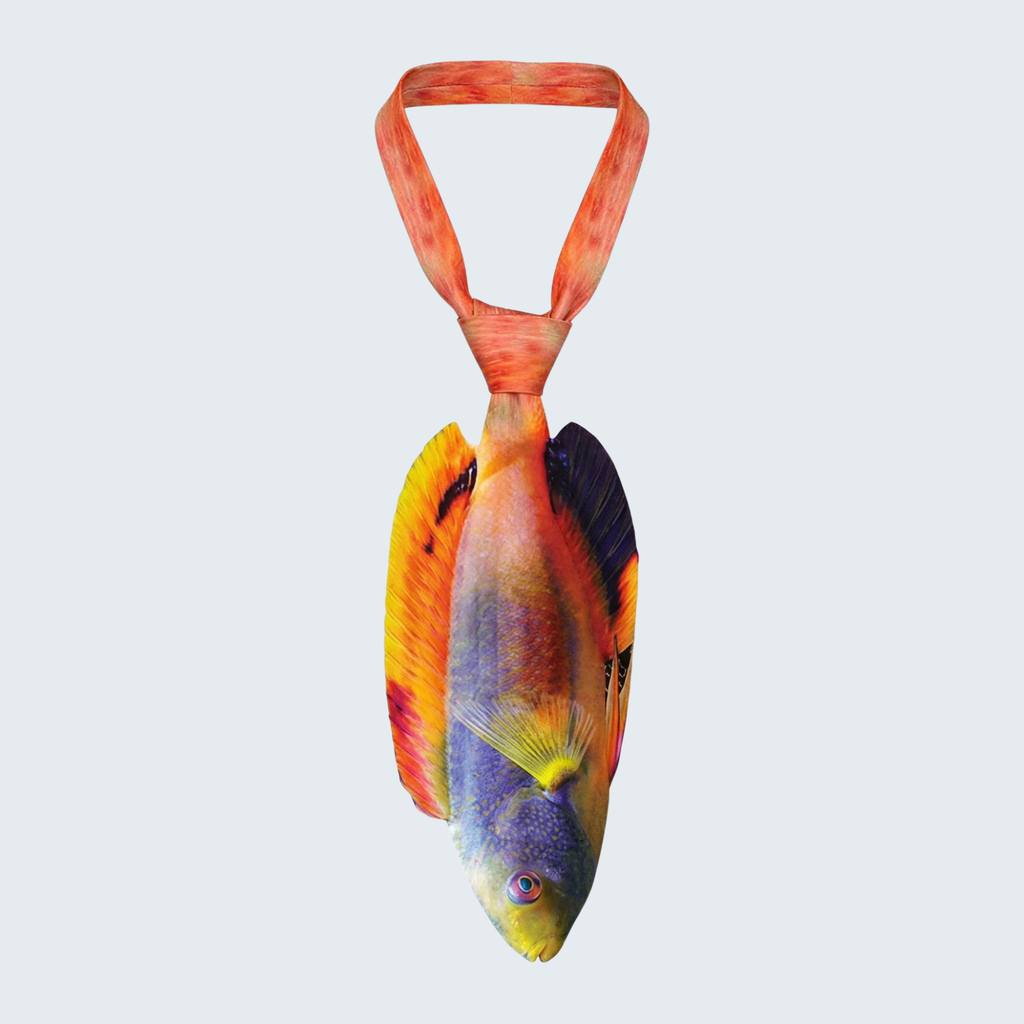 EdwardTrend© Scott's Fairy Wrasse