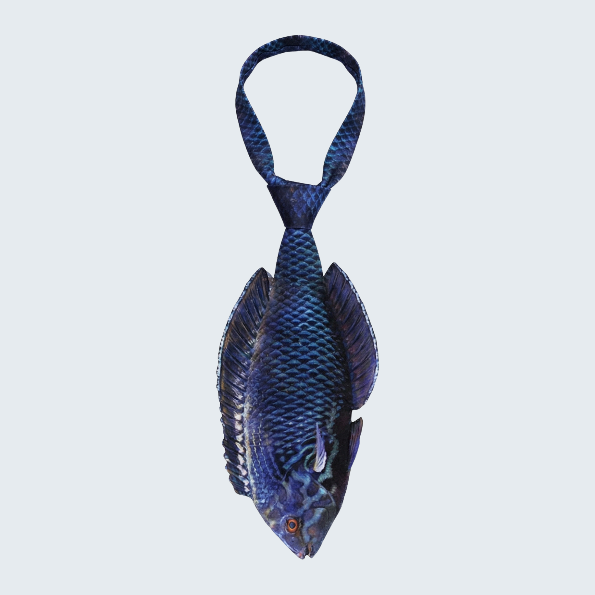 EdwardTrend© Black Leopard Wrasse