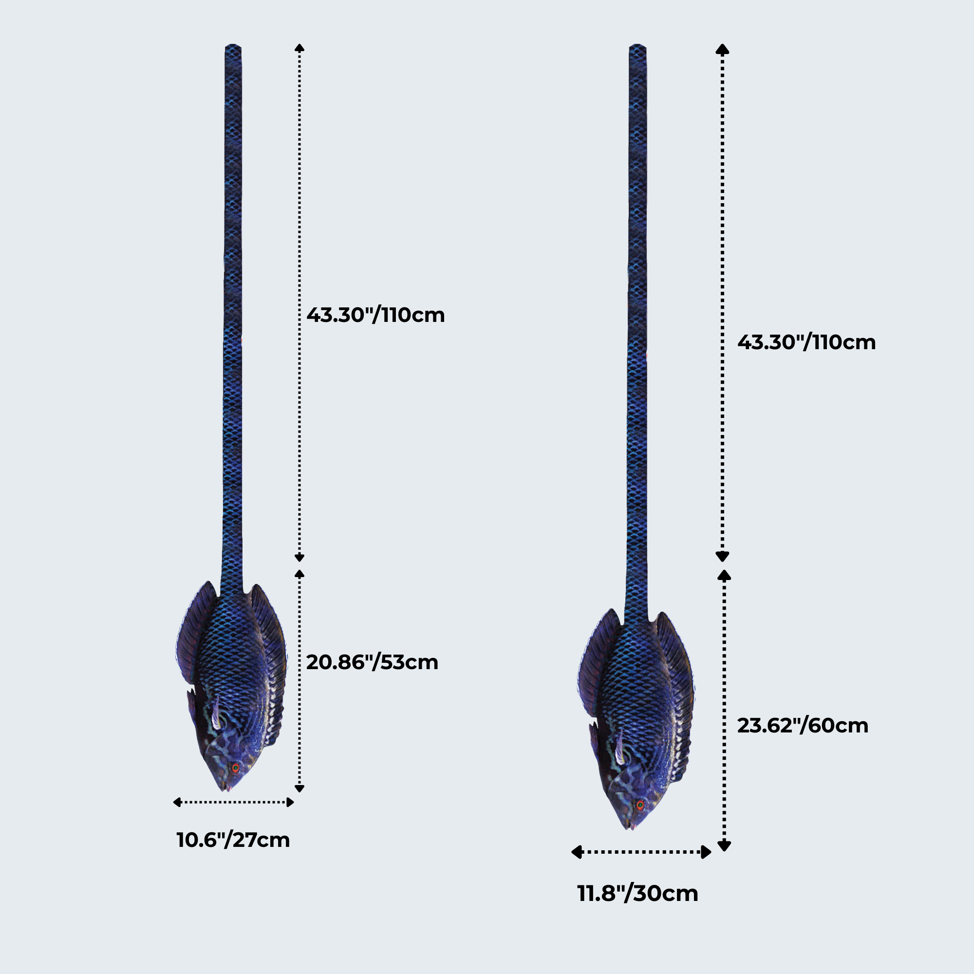 EdwardTrend© Black Leopard Wrasse