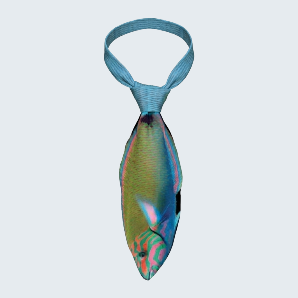 EdwardTrend© Lunar Wrasse