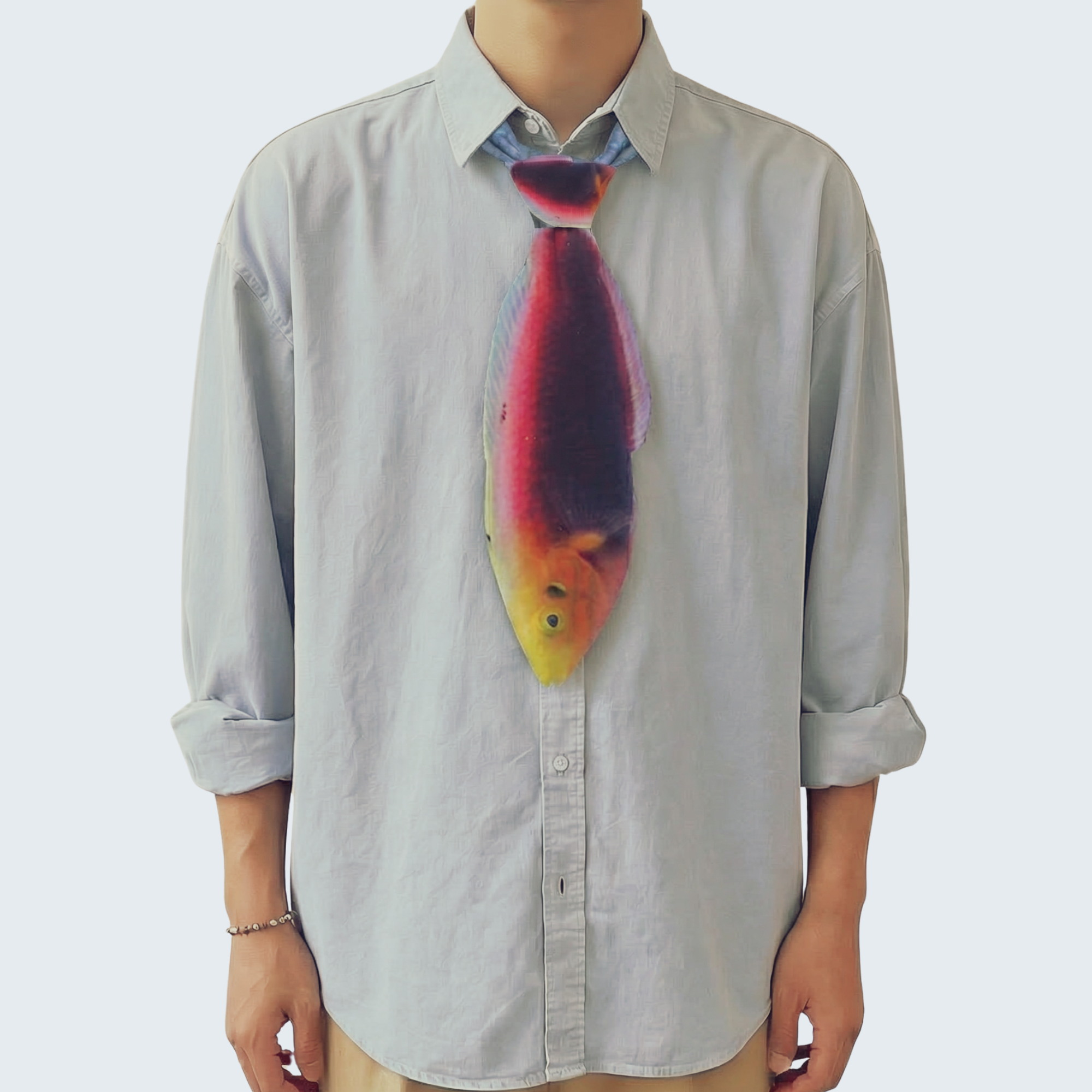 EdwardTrend© Radiant Wrasse