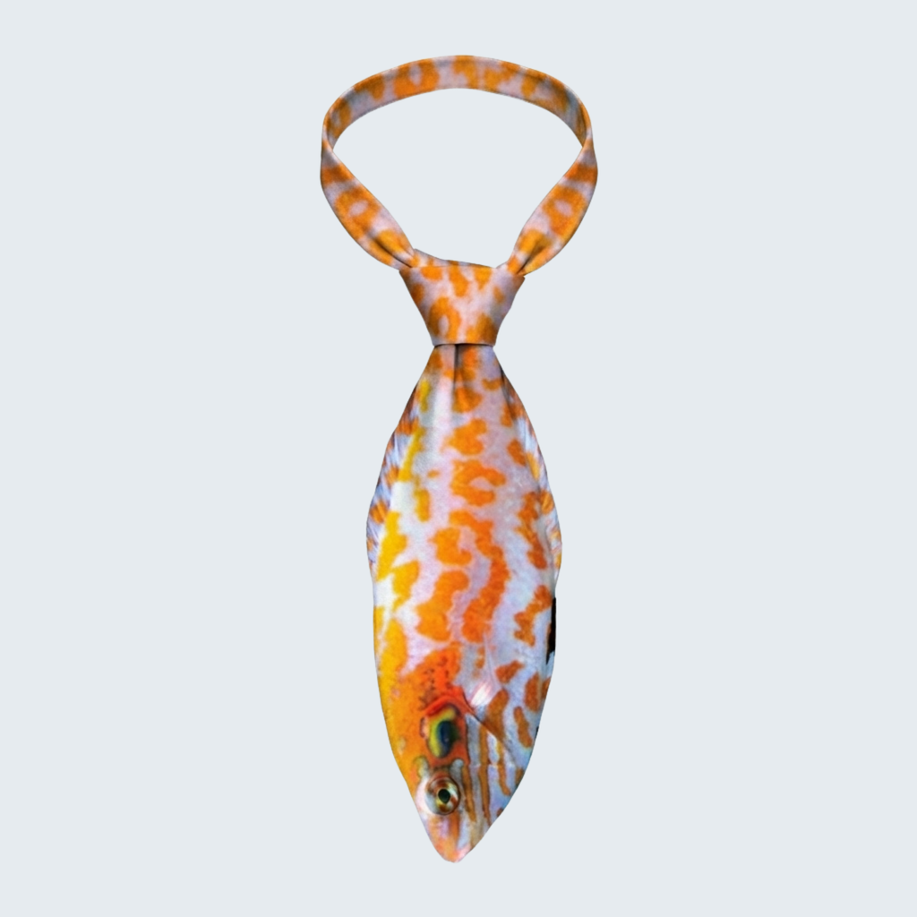 EdwardTrend© Red Leopard Wrasse