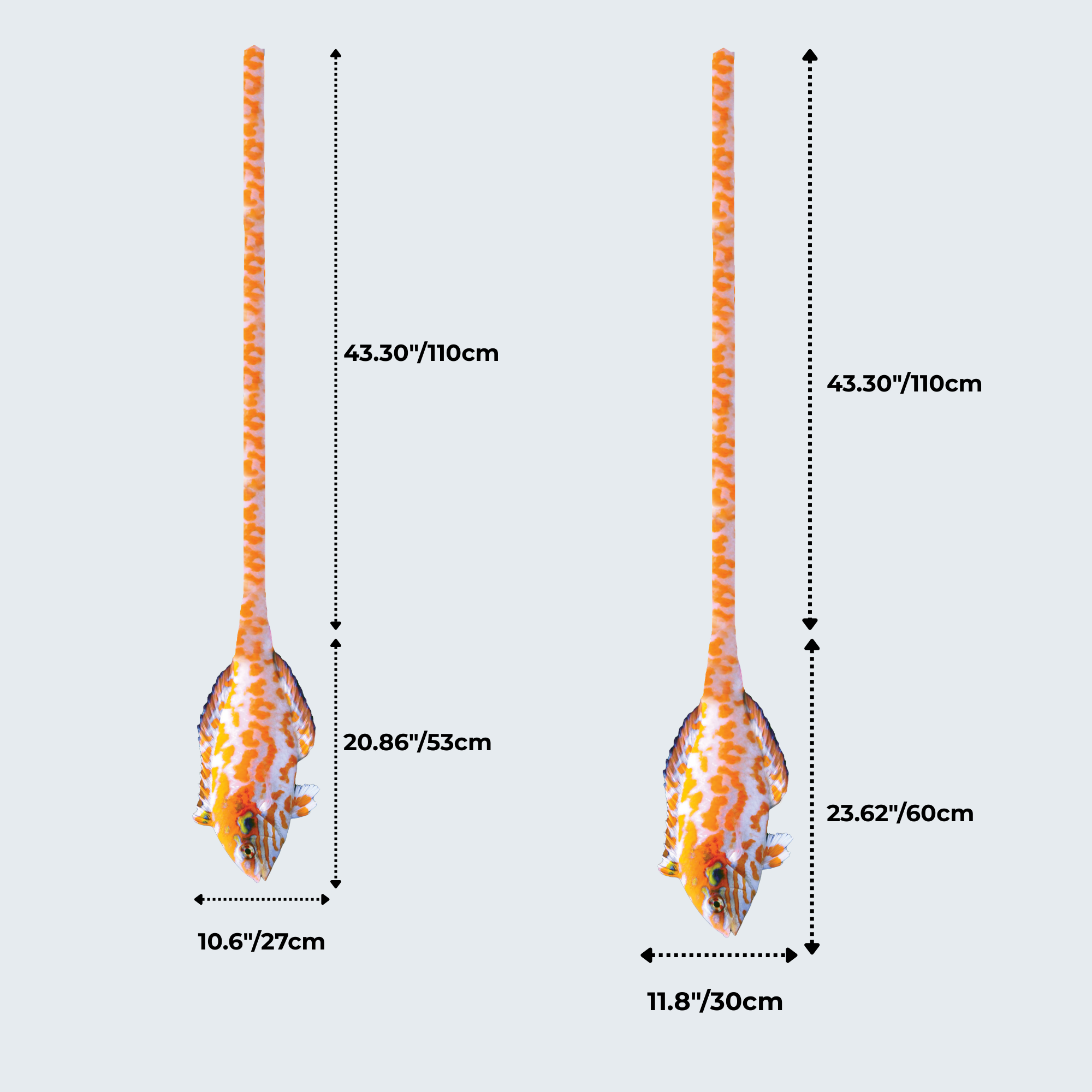 EdwardTrend© Red Leopard Wrasse