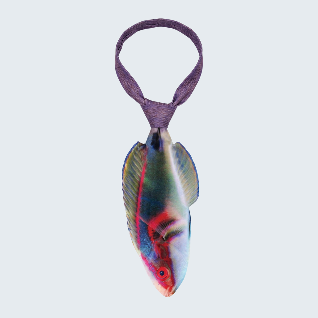 EdwardTrend© Exquisite Fairy Wrasse